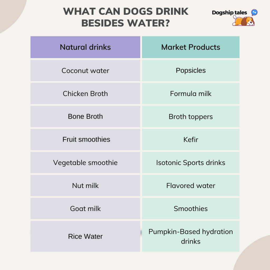 what else can dogs drink besides water