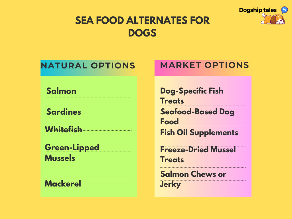 Alternative Seafood Options for Dogs