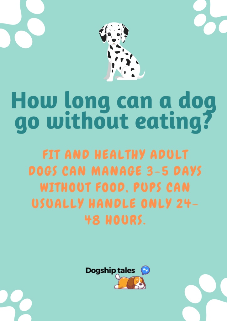 How long can a dog go without eating?