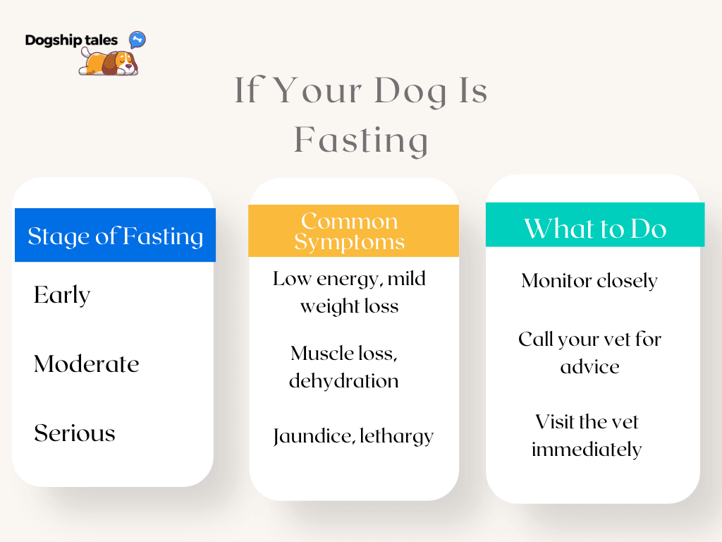 How long can a dog go without eating?