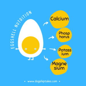 Egg nutrition