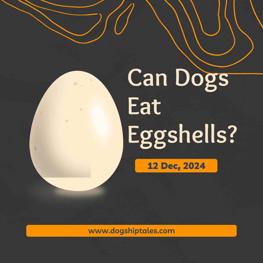 Can dogs eat eggshell?