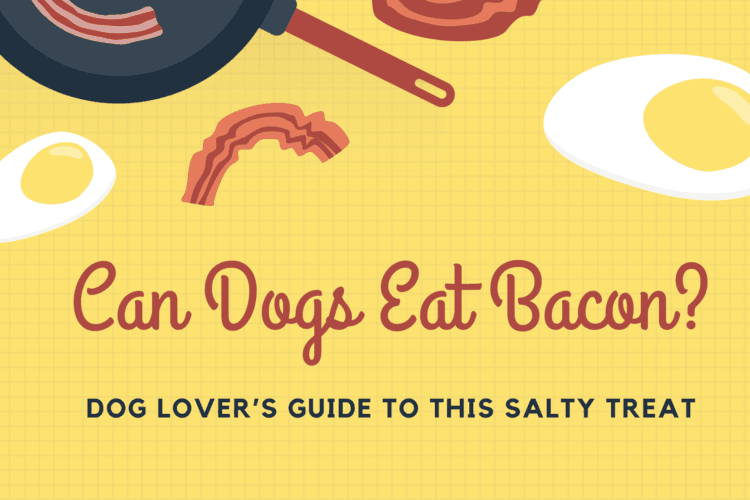 Can Dogs Eat Bacon?