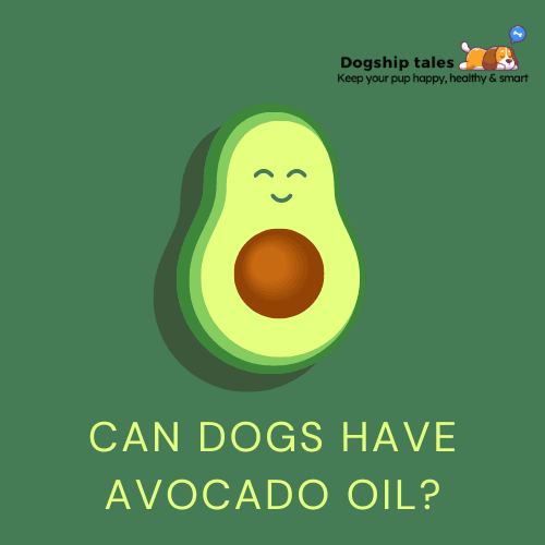 Can Dogs Have Avocado Oil? A Complete Guide for Pet Owners