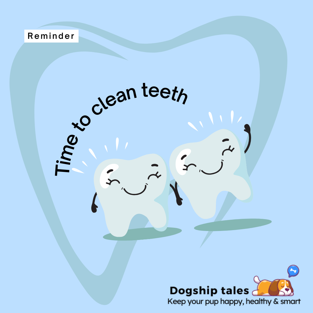 Dog Dental Chart- A Quick Overview