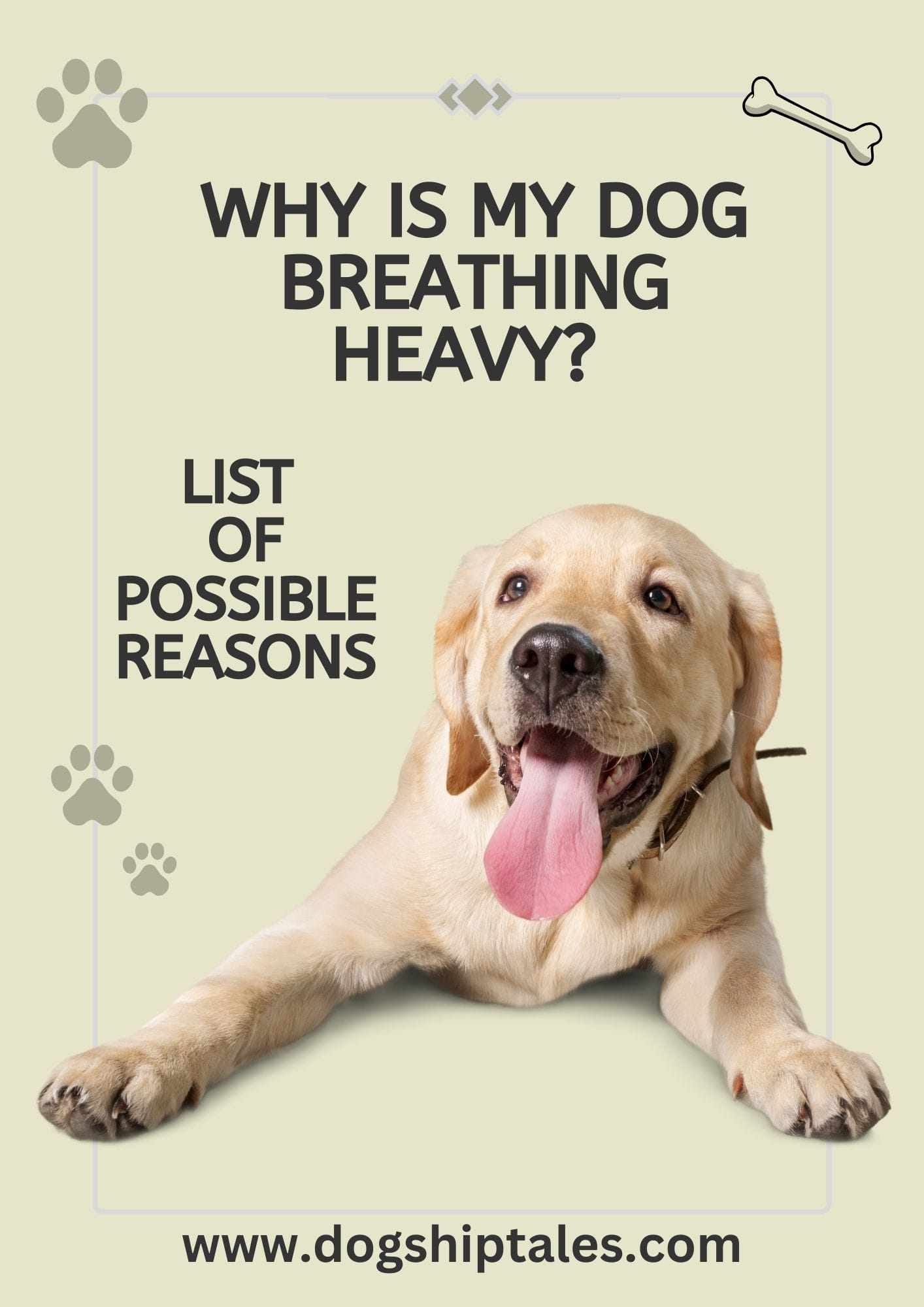 Why Is My Dog Breathing Heavy? 20 Possible Reasons