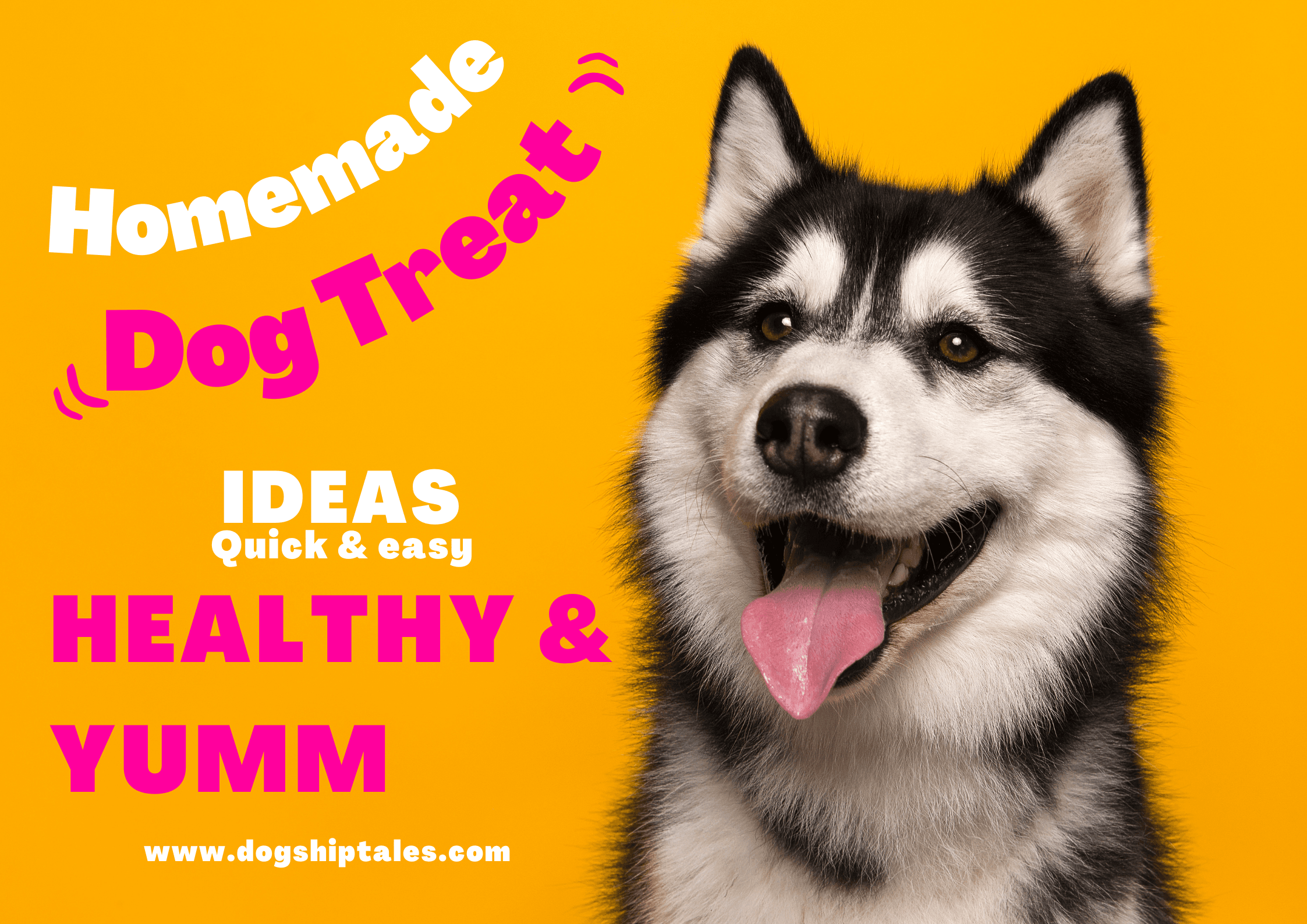 Homemade dog treat Ideas